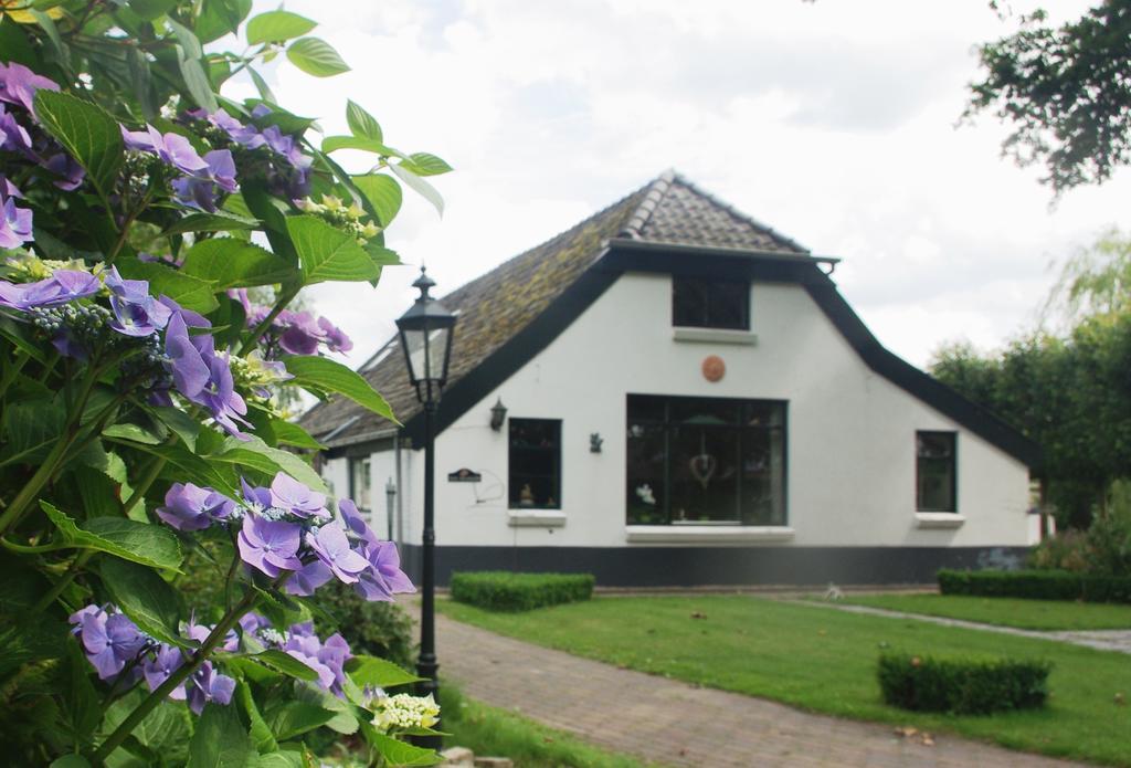 Bed&Breakfast 'T Eikeltje Hollandscheveld エクステリア 写真